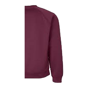 เสื้อสเวตเชิ้ตคอกลมผู้ชาย พรีเมียม ผ้าฝ้ายถักนิตติ้ง 100% เนื้อฟลีซ ระบายอากาศได้ดี เป็นมิตรกับสิ่งแวดล้อม น้ำหนัก 240 กรัม ลายพิมพ์นูน - Product Image 4