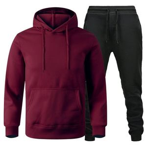 Ensemble de survêtement d'hiver 2 pièces à capuche en polyester/coton écologique imprimé, coupe classique, léger et décontracté - Product Image 2