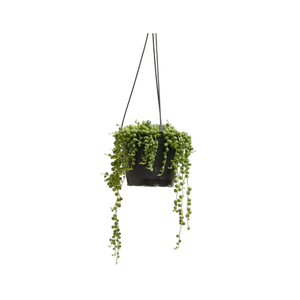 Juego de 2 Macetas Colgantes de Metal Rosa Minimalistas Modernas, Macetas Geométricas Ovaladas y Redondas de Hierro Resistente para Decoración de Jardín Interior - Product Image 5