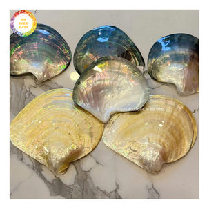 Pendentif en coquillage naturel poli, disque de coquillage, breloque en nacre noire, perles pour boucles d'oreilles DIY, colliers, breloques, bijoux en gros - Product Image 2