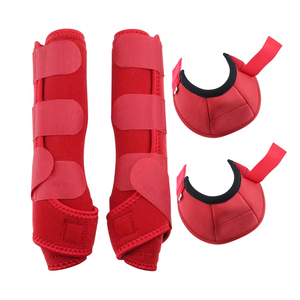 Protège-jambes respirants en maille violette 2026 pour chevaux avec sangle Velcro pour soutien du pastèrnes, utilisation en course et entraînement - Product Image 5