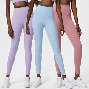 Women's Seamless Gym Set Four Way Stretch Quick Dry High Waist Sports Bra and Leggings Two Piece Fitness Yoga Activewear - Product Image 2