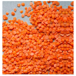ถั่วเลนทิลคุณภาพสูง / ราคาถั่วเลนทิลเขียว / ถั่วเลนทิลแดง - Product Image 6