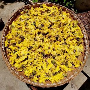 <span class=keywords><strong>ดอก</strong></span>ไม้สีเหลืองมัสค์มาลโลว์ทั้งถุงจาก aibika abelmoschus Manihot Shu kui okra - Product Image 4