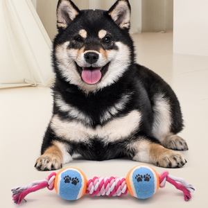 Corde en coton Balle de tennis pour chien Jouet à mâcher Morsure Durable pour chiot Pet Interactive Colorée Ludique Écologique Haute qualité - Product Image 2