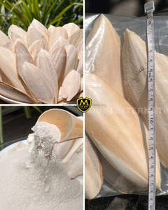 Os de Seiche Séché de Haute Qualité pour Oiseaux et Animaux de Compagnie – Supplément Naturel de Calcium pour l'Alimentation Animale - Product Image 5