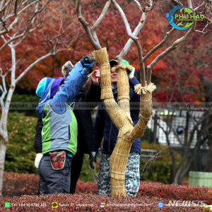 Alfombra de junco ecológica en rollo, producto estrella, para protección de árboles y cubiertas de troncos, fibra orgánica de alta calidad para jardín. - Product Image 3