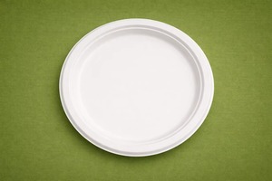 Axiom Greenex 11 Inch Round Bagasse Compostable Biodegradable Microwave Safe Lightweight <b>Disposable</b> Dinner <b>Plate</b> - Product Image 1