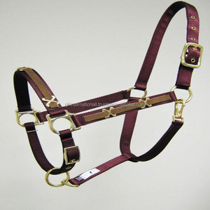 Custom Design Decorative Conchos Nylon Webbing Vibrant Colors Nylon Horse <b>Halter</b> with Heavy Duty Adjustable Brass Hardware - Product Image 5