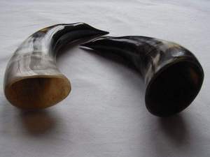 High Quality Durable Viking Drinking Horn Stand Polished Natural Craft American Style Portable Reusable Business Gift Home - Product Image 2