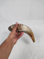 Corne de mouton naturelle, Shofar en corne de bélier, objet religieux animal, durable, de qualité supérieure, poli, artisanat, vente en gros