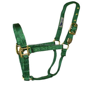 Factory Wholesale Custom Design 100% Nylon Halter Horse in Many Colors Personalized logo with Solid Brass Hardware - Product Image 5