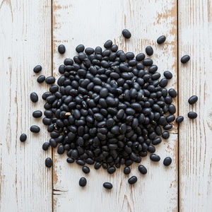 Frijoles Negros Frescos Orgánicos de Alta Calidad, Cosecha Reciente, Venta con Entrega Rápida, Proveedor Mayorista, Mejor Precio, Stock Razonable - Product Image 6