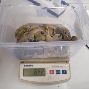 Vente en gros de haute qualité naturelle Indonésie bourdon croissant de lune pierres précieuses artisanat cristal de guérison 3X2,5 cm - Product Image 6