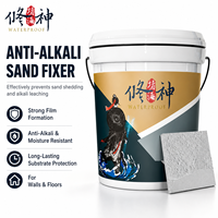 Primaire Fixateur de Sable Polyuréthane à Base d'Eau Anti-Alcali, Forte Adhérence, Renforcement de Surface, Imperméabilisation des Sols et Murs en Ciment
