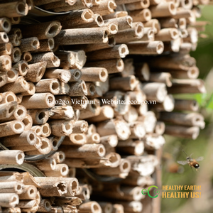 Eco2go Vietnam Tubes de nidification en bambou naturel écologiques et durables à motif animalier, hôtels pour insectes et abris pour abeilles, pour usage extérieur - Product Image 4