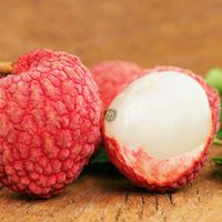Verse rode lychees uit Vietnam, exportkwaliteit tropisch fruit voor importeurs en distributeurs