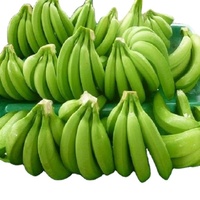 Groothandel Vietnamese Premium Verse Cavendish Banaan Custom Logo Groene Banaan | Vietnam Highland Banaan