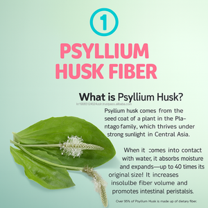 Fibres de Psyllium Probiotiques 17 Souches Soutien Naturel de la Santé Intestinale pour Adultes 30 Sachets 5g Granulés Corée - Product Image 6