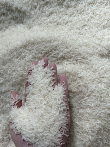 Arroz Premium ST25, Riz, Rise, Ris |   Empaque de 5 kg y 10 kg |   Marca Privada ODM/OEM |   Buen Precio en la Nueva Cosecha 2026 (Joice) - Product Image 5