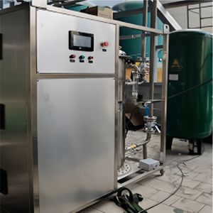 Approvisionnement direct usine : Générateur d'ozone de grande capacité (1 à 5 kg/h) – Équipement de désinfection économe en énergie – <span class=keywords><strong>Meilleur</strong></span> prix – Service 24/7 - Product Image 6