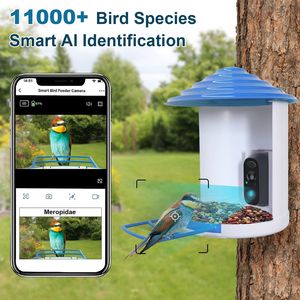 1080P HD AI Bird Feeder <b>Camera</b> <b>Solar</b> Powered with PIR Motion Auto Capture Video Cloud Card Storage WiFi Connectivity - Product Image 4