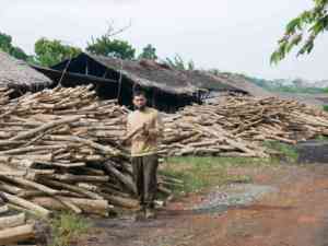 Top Indonesian Charcoal Halaban Lump Hardwood for BBQ | Long <b>Burning</b> Low Ash 7000-8000 Kcal/kg CARSURIN Lab-Test - Product Image 5