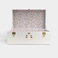 Coffre de rangement pliable en métal pour la maison, boîte cadeau moderne pour vêtements, chaussures, bijoux, valise personnalisable haut de gamme