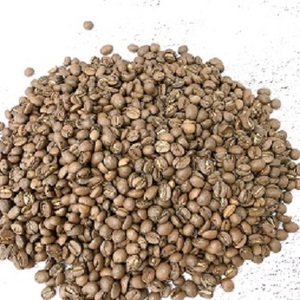 Café Arabica Vietnamien OEM Torréfaction Moyenne Foncée Processus Entièrement Lavé Goût Neutre Lisse Qualité Supérieure Remise sur Commande en Gros - Product Image 1