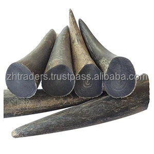 Puntas de cuerno de Búfalo Blanco Natural de la mejor calidad de Azaming DE LA India Estilo animal pulido para exportación Cuerno natural - Product Image 4
