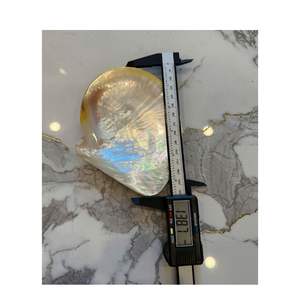 SUPPER <b>LIGHT</b> BLACK MOTHER OF PEARL <b>SHELL</b> TRAY HANDMADE MOP COSTAL CAKE PLATE FOR WEDDING DAY NATURAL <b>SHELL</b> PLATE 9CM 13CM 15CM - Product Image 3