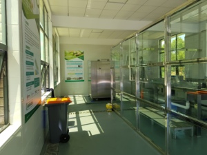 Machine à déchets alimentaires durable 2t, processeur de déchets alimentaires, système de compostage, équipement de recyclage des déchets organiques pour hôtel - Product Image 6