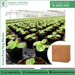 Turba de coco de grado premium o bloques de coco de 5kg para cultivadores hidropónicos a precio mayorista - Product Image 5