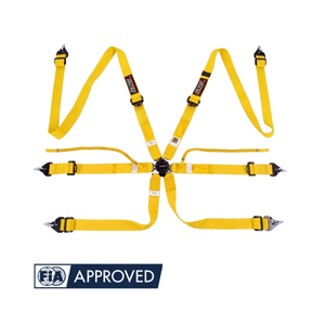 Ceinture de sécurité automobile haut de gamme TBRACING homologuée FIA 8853 2016 OEM ODM Agent de marque personnalisée Vente en gros Accès rapide au siège à dégagement rapide - Product Image 2