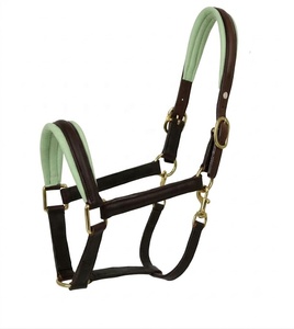 Cabestro Acolchado de Cuero para Caballo con Herrajes de Acero Inoxidable, Hebillas Ajustables, Accesorios Duraderos para Equitación, OEM ODM / VENTA AL POR MAYOR - Product Image 3