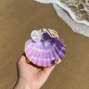 จานใส่เครื่องประดับเปลือกหอยเชลล์ งานแฮนด์เมดจากเปลือกหอยธรรมชาติ ถาดตกแต่งสไตล์ชายทะเล ของตกแต่งบ้าน งานฝีมือ ขายส่งจากโรงงาน - Product Image 2