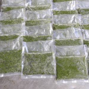 Le manioc congelé quitte le Vietnam pour les fabricants mondiaux de plats préparés de haute qualité à bon prix par 99 Gold Data - Product Image 2