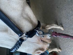 Diseño de envoltura personalizable de cuero teñido con tambor y poliéster - Product Image 4