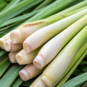LEMONGRASS ESSENTIAL <b>OIL</b> VIETNAM | 1000ML BULK <b>BOTTLE</b> FOR AROMA & PERSONAL CARE - Product Image 6