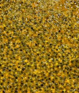 Pulpe de fruit de la passion surgelée sans pépins en gros pour la production de confiture et de marmelade, ingrédient de boulangerie, prix compétitif, saveur naturelle - Product Image 5