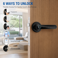 Poignée de porte intelligente avec lecteur d'empreintes digitales, serrure à cylindre intelligente pour portes en bois