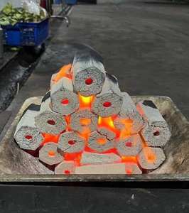 Meilleur prix pour le charbon de coco du Vietnam, combustion longue durée, faible teneur en cendres, approvisionnement en vrac - Mme Tarina - Product Image 1