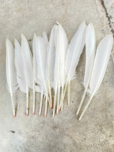 Plumes de canard blanches brutes de haute qualité 2026, traitées et nettoyées, en vrac, provenance Vietnam, pour rembourrage d'oreillers et coussins, export Viet Seafarm - Product Image 2