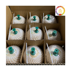 Noix de coco jeune et fraîche |   Bouton d'ouverture facile |   Eau douce |   Idéal pour les entreprises hôtelières et côtidiennes |   Exportation du Vietnam - Product Image 3
