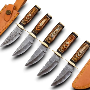 UA Supplies 2026 New Design Best Quality Damascus Steel Fixed Blade Drop Point Camping Survival Knife Pakka Wood Handle OEM/ODM - Product Image 1