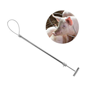 Instrumento Veterinario Más Vendido: Pinza para Cerdos de Acero Inoxidable con Mango de Plástico para Sujeción Nasal de Cerdos - Product Image 2