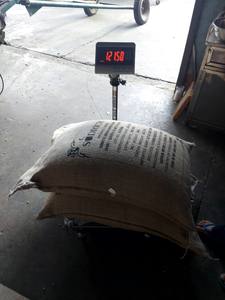 Exportador Vietnamita de Granos de Café Robusta de Tueste Claro Premium Totalmente Certificados de Agrikim Vietnam en Bolsa de Yute de 60 kg - Product Image 2