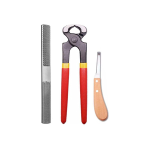 Kit complet de ferrage pour l'entretien équin : outils de coupe de sabots avec marteau, couteau, râpe et coupe-clous - Product Image 2