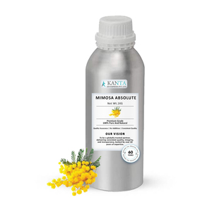 Extracto Puro Natural de Mimosa Absoluta de la Más Alta Calidad, Proveedor Mayorista a Precio de Mercado, Directo de la India - Product Image 1