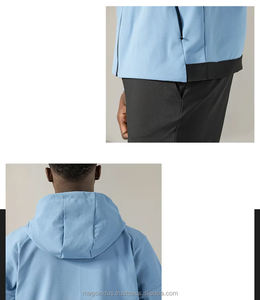 OEM Wholesale Manufacturers Gym <b>Workout</b> Hoodie Custom Logo Unisex Oversized Blank Heavyweight Mens Embroidered <b>Hoodies</b> - Product Image 5